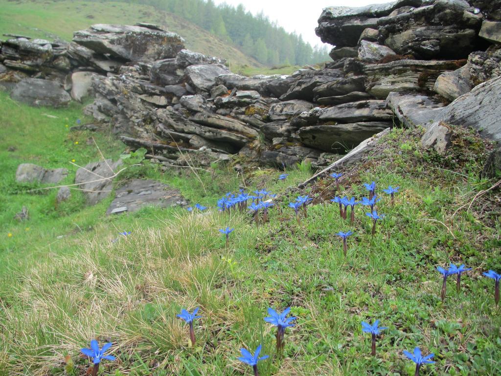 Landhaus Gassner Fusch an der Glocknerstraße Esterno foto